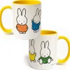 Miffy Coloured Dresses Coloured Insert Mug