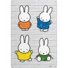 Miffy Coloured Dresses Metal Sign
