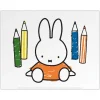 Miffy Colouring Pencils Mini Poster