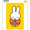 Miffy recorder Metal Sign